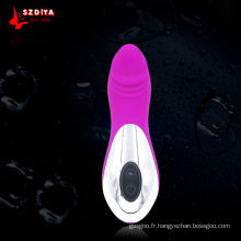 Consolateur vibratoire artificiel rechargeable USB pour sexe féminin (DYAST276)